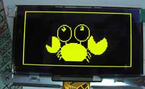  Пример применения OLED индикатора WEGC012864