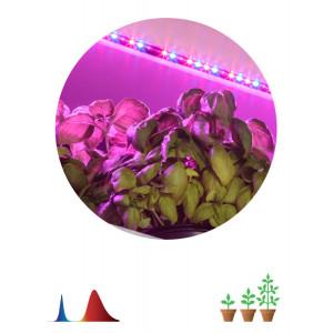 Светодиодная лента для растений ЭРА FITO-Strip Light-RB-2m красно-синего спектра, 2 м, IP65(кр.1шт) [Б0057282]