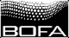 Логотип BOFA
