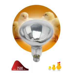 Инфракрасная лампа ЭРА ИКЗ 220-250 R127 для обогрева животных 220-250 Вт Е27(кр.15шт) [Б0042991]
