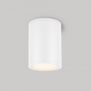 Светильник LGD-FORMA-SURFACE-R90-12W Day4000 (WH, 44 deg, 230V) 037259, Накладной светильник 12Вт, белый алюминиевый корпус, оптическое закаленное стекло. Цвет ДНЕВНОЙ 4000K, св.поток 790лм, CRI(Ra)>80, угол 44°. Размер Ф90x137мм. IP54. Питание AC230V, 12Вт, встроенный драйвер 30-42 В, 300 мА.