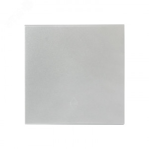 Валенсия лицевая панель выключателя 1-кл. 10А сталь PROxima ESV10-L-021-30