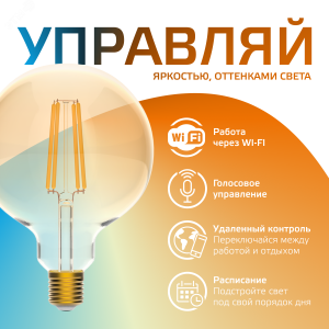 Лампа светодиодная филаментная Smart Home DIM+CCT E27 G95 Golden 6,5 Вт 2000-5500 К 1/40 1340112