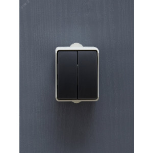 Выключатель 2-кл. ОП Форс 10А IP54 ВС20-2-0-ФСр сер. EVS20-K03-10-54-DC