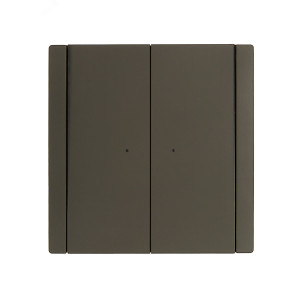 FORTE&PIANO Выключатель 2-клавишный проходной с индикацией 10А FP308 серый IEK FP-V22-1-10-1-K03