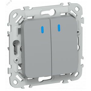 FLITE Выключатель 2-клавишный с индикацией 10А ВС12-1-1-ФлС серый IEK FI-V20-1-10-1-K03