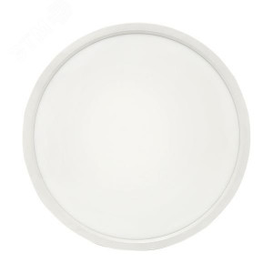 Умный потолочный светильник 300 мм 24W Connect sclwf-300-cct