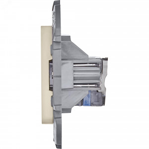 Розетка компьютерная Inspiria RJ45 кат.6 UTP механизм сл. кость Leg 673831