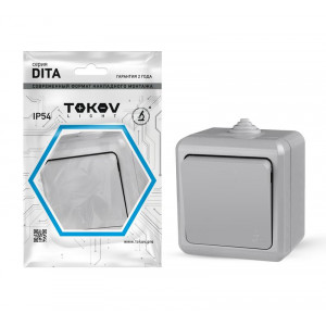 Выключатель 1-кл. ОП Dita IP54 10А 250В сер. TKL-DT-V1-C06-IP54