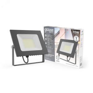 Прожектор BASIC 70W 6300lm 6500K 200-240V IP65 графитовый LED 1/10 688100370