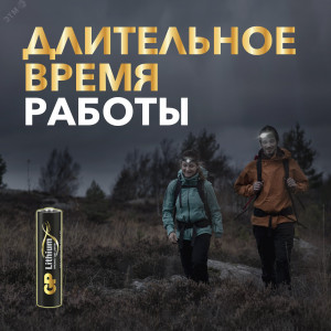 Батарейка литиевая 24LF AA - 2 шт. в блистере 13990