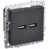 Розетка BRITE USB A+A 3.1А РЮ10-1-БрЧ черн. BR-U21-D31-K02