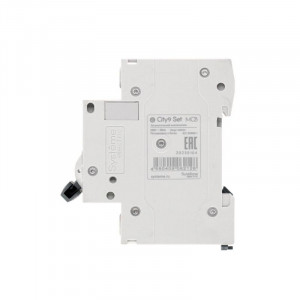 Выключатель автоматический модульный 2п C 10А 4.5кА City9 Set 230В SE C9F34210