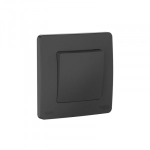 Переключатель 1-кл. СП Blanca 10А IP44 (сх.6) 250В антрацит SE BLNVS410606