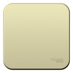 Выключатель 1-кл. ОП Blanca 10А IP20 (сх. 1) 250В с изолир. пластиной беж. SE BLNVA101017