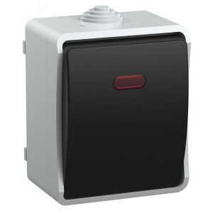 Выключатель 1-кл. ОП Форс 10А IP54 ВС20-1-1-ФСр с индикацией сер. EVS11-K03-10-54-DC