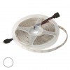 2835 300LED IP65 12V WHITE