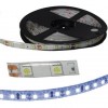 5050 300LED IP65 12V WHITE
