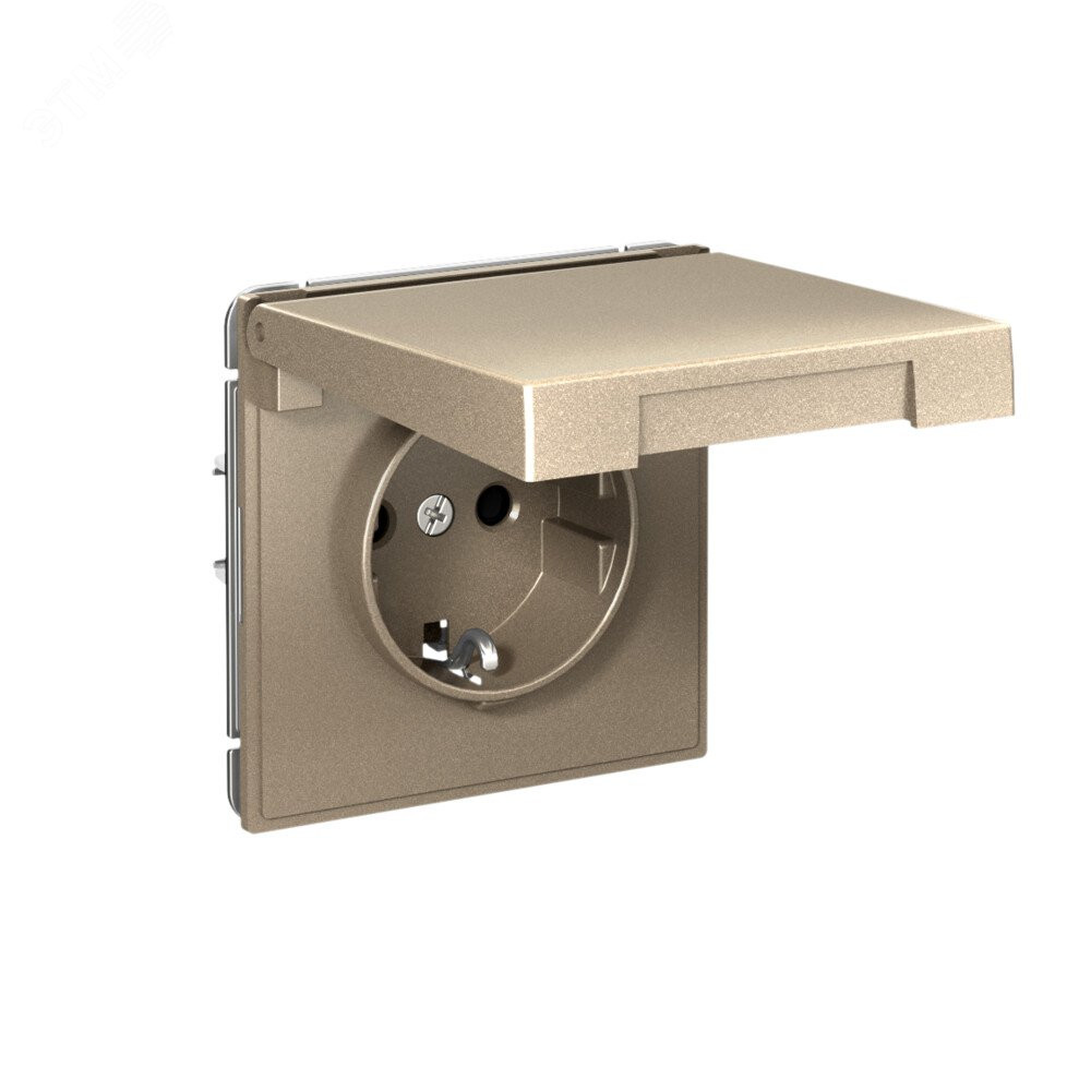Изображение товара Розетка силовая ARTGALLERY с заземлением 16А IP20 шампань GAL000546S