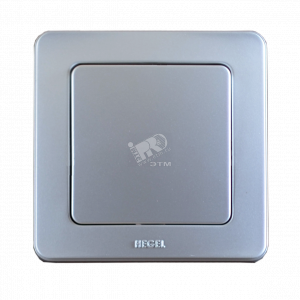 Выключатель одноклавишный скрытый серебро 10А ВС10-311-06