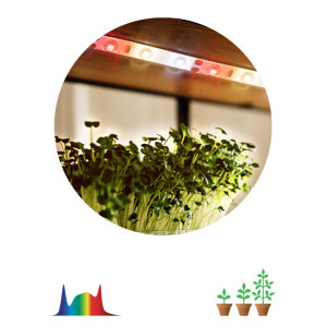 FITO-Strip Light-Rа90-3m FITO-Strip Light-Rа90-3m Б0059881