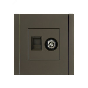 FORTE&PIANO Розетка двойная TV+RJ45 кат.5E FP336 серый IEK FP-AK20-1-K03