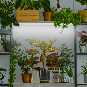 Фитолампа для растений светодиодная FITO-18W-Ra90-Т8-G13-NL полного спектра 18 Вт Т8 G13 Б0042987