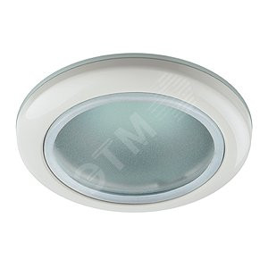 Светильник точечный WR1 WH 50Вт GU5.3 MR16 12В/220В d70мм влагозащ. бел. ЭРА Б0005214