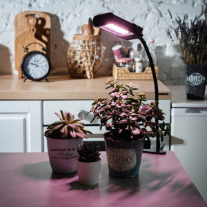 Светильник ULT-P31-12W/SPLE/40 IP40 BLACK SINGLE для растений светодиодный на прищепке Спектр для фотосинтеза UL-00009250