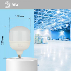Лампа светодиодная высокомощная STD LED POWER T160-100W-6500-E27/E40 100Вт T160 колокол 6500К нейтр. бел. E27/E40 (переходник в компл.) 8000лм Б0032090
