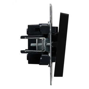 Выключатель проходной 1-кл. СП BRITE ВС10-1-6-БрЧ 10А черн. BR-V12-0-10-K02