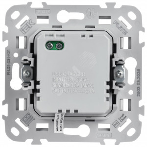 FLITE Розетка USB A+A 3,1А РЮ-2-ФлБ белый IEK FI-U21-D31-K01