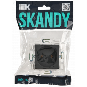 SKANDY Розетка без заземления без защитных шторок 10А SK-R02T титан IEK SK-R10-10-K48