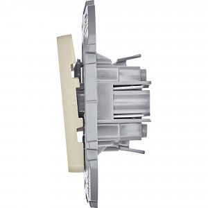 Выключатель 1-кл. Inspiria 10А IP20 250В 10AX механизм сл. кость Leg 673601