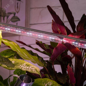 Лампа светодиодная FITO-9W-Ra90-Т8-G13-NL 9Вт T8 линейная 46LED 2835 IP20 35000ч для растений полноспектральная стекло Б0042988