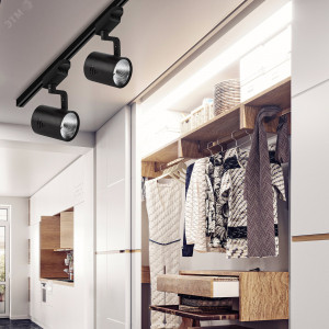 Трековый светильник однофазный TR1 - 30 BK 30Вт черный COB Б0032102