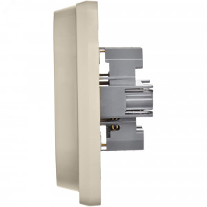 Розетка Inspiria 16А 250В 2х2P+E немецк. стандарт сл. кость Leg 673751