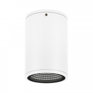 Светильник LGD-FORMA-SURFACE-R90-12W Day4000 (WH, 44 deg, 230V) 037259, Накладной светильник 12Вт, белый алюминиевый корпус, оптическое закаленное стекло. Цвет ДНЕВНОЙ 4000K, св.поток 790лм, CRI(Ra)>80, угол 44°. Размер Ф90x137мм. IP54. Питание AC230V, 12Вт, встроенный драйвер 30-42 В, 300 мА.