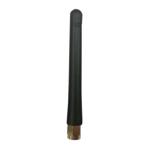 W5029RPG