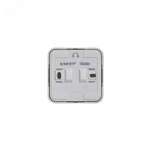 Выключатель 1-кл. ОП Blanca 10А IP20 (сх. 1) 250В с изолир. пластиной бел. SE BLNVA101011