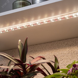 Светильник для растений, фитолампа светодиодная линейная FITO-10W-Т5-Ra90-Slim полного спектра 10 Вт Т5 Б0057400