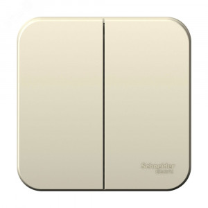 BLANCA О/У 2-клавишный ВЫКЛЮЧАТЕЛЬ (cх.5), 10А, 250B,МОЛОЧНЫЙ BLNVA105002