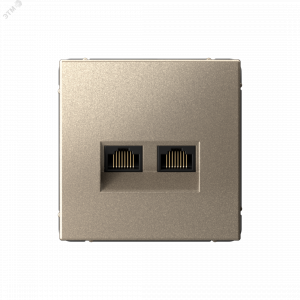 ARTGALLERY РОЗЕТКА двойная компьютерная RJ45+RJ45, кат. 5е, механизм, ШАМПАНЬ GAL000585
