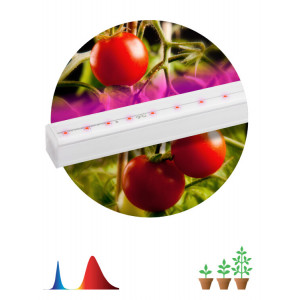 Светильник для растений, фитолампа светодиодная линейная ЭРА FITO-14W-Т5-N красно-синего спектра 14 Вт Т5(кр.1шт) [Б0045232]