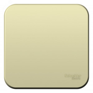 Переключатель проходной 1-кл. ОП Blanca 10А IP20 (сх. 6) 250В с изолир. пластиной беж. SE BLNVA106017