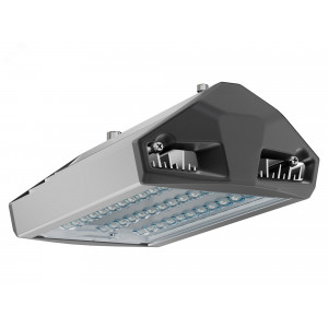 Светильник уличный ЕСАУЛ ДКУ-50 750 ШБ УТ000020649