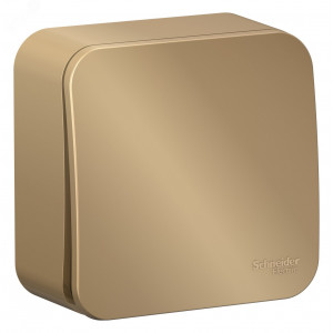 Выключатель 1-кл. ОП Blanca 10А IP20 (сх. 1) 250В с изолир. пластиной титан SE BLNVA101014