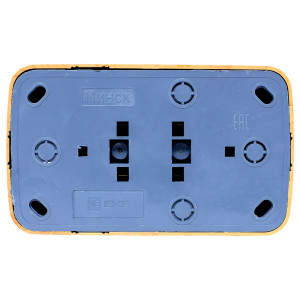 Розетка 2-местная ОП Минск 16А с заземлением светлое дерево EGR16-128-30