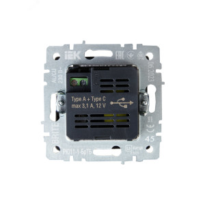 BRITE Розетка USB A+C 18Вт РЮ11-1-БрТБ темная бронза BR-U22-018-K45