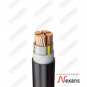 Кабель силовой ВВГнг(А) -LS 4х120 мс(N)-1 PL110141203100000000